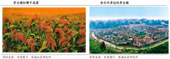 產(chǎn)業(yè)品牌建設(shè)之四大品牌體驗(yàn)打造