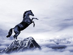 競(jìng)爭(zhēng)戰(zhàn)略策劃之大布局企業(yè)細(xì)分三原則